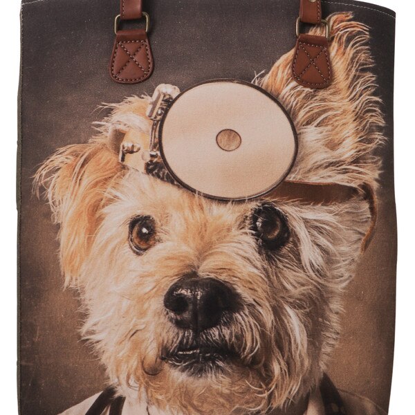 Stanley Dog Bag